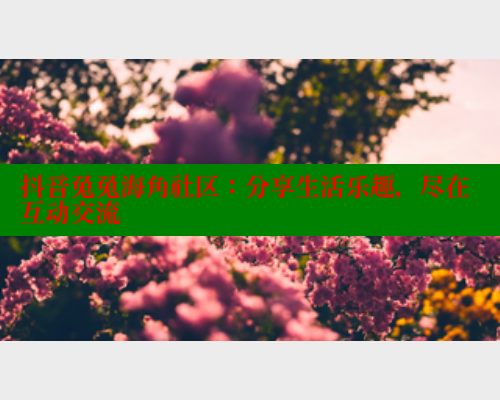 抖音兔兔海角社区：分享生活乐趣，尽在互动交流