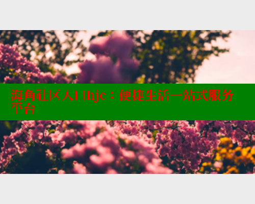 海角社区入口hjc：便捷生活一站式服务平台 海角首页 第1张