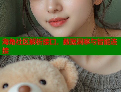 海角社区解析接口，数据洞察与智能连接