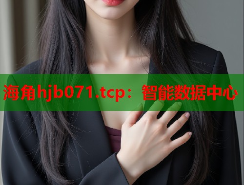 海角hjb071.tcp：智能数据中心  第1张