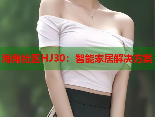 海角社区HJ30：智能家居解决方案  第2张