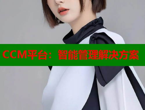 CCM平台：智能管理解决方案
