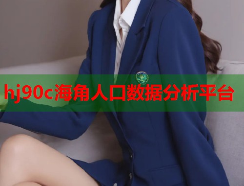 hj90c海角人口数据分析平台