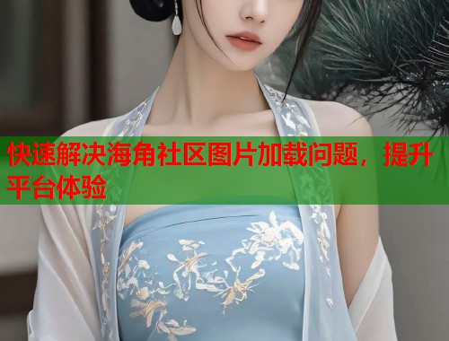 快速解决海角社区图片加载问题，提升平台体验  第1张