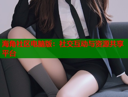 海角社区电脑版：社交互动与资源共享平台  第1张