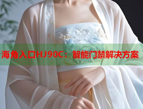 海角入口HJ90C：智能门禁解决方案