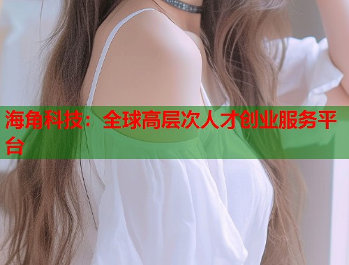海角科技：全球高层次人才创业服务平台  第1张