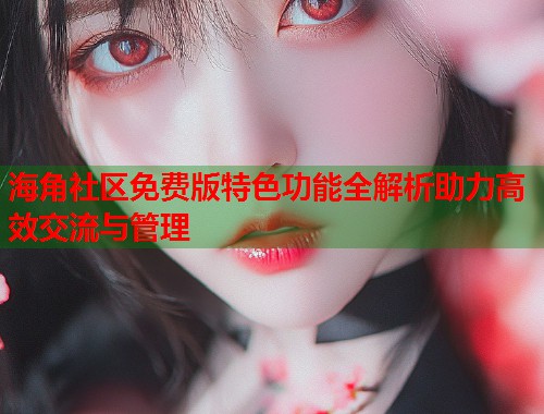 海角社区免费版特色功能全解析助力高效交流与管理  第2张