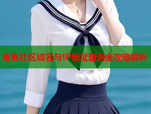 海角社区域名与IP地址查询全攻略解析